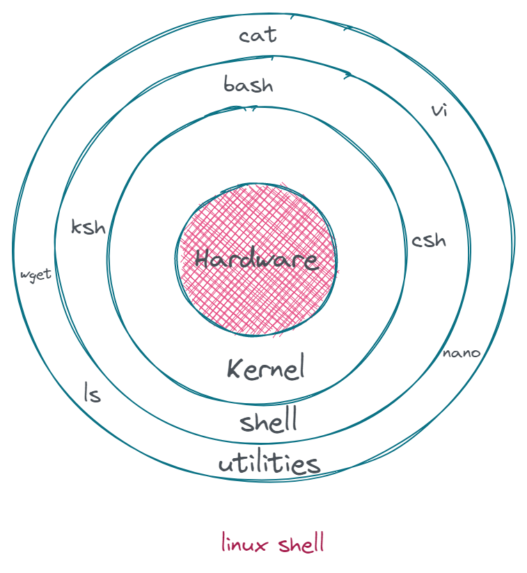 shell.png