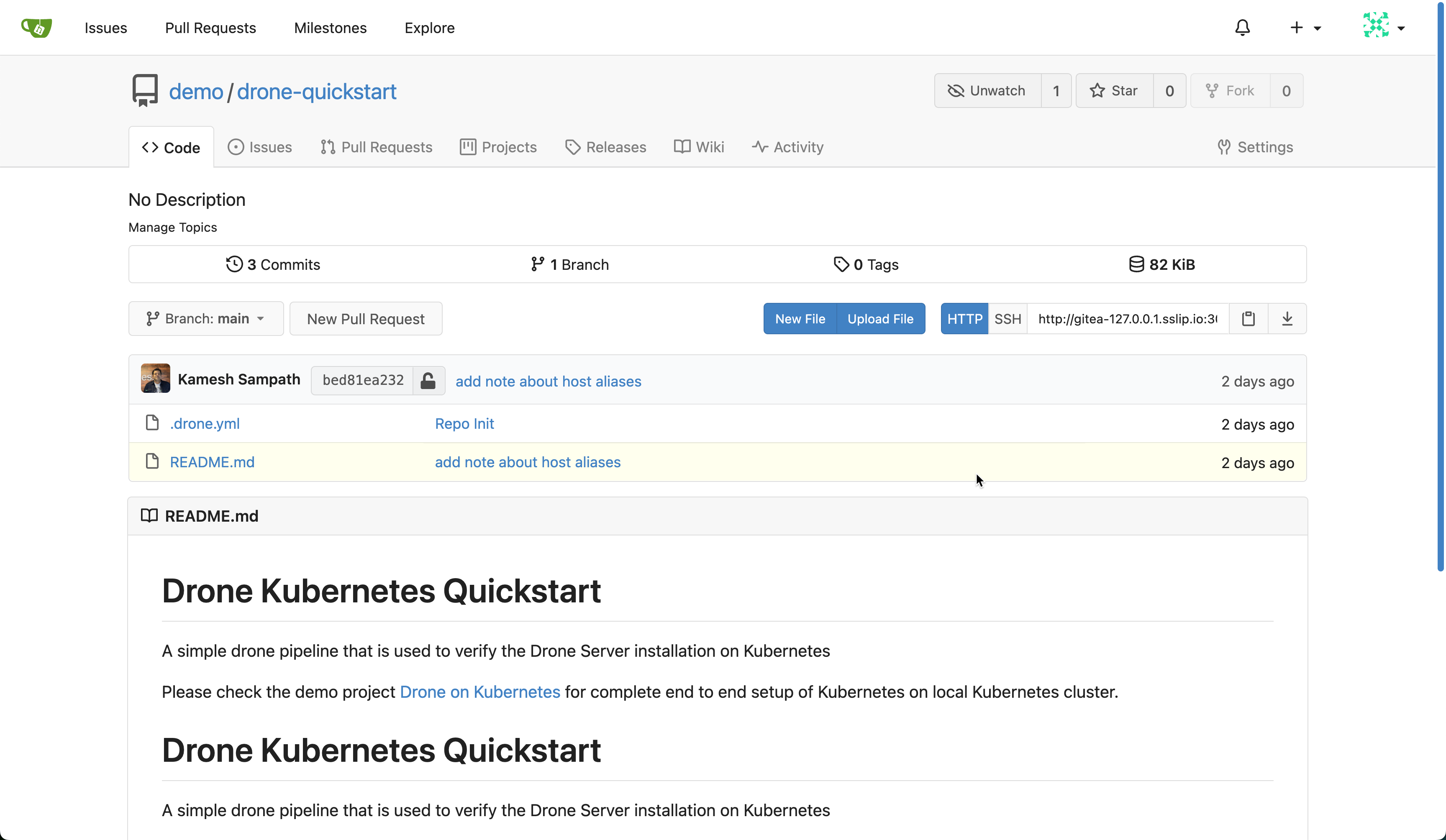 Drone Quickstart Repository